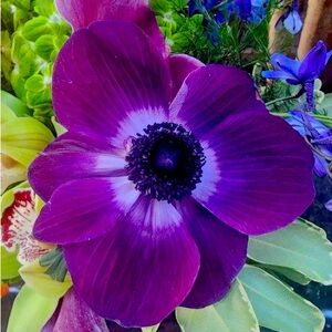 Meet your Posher, Jenn